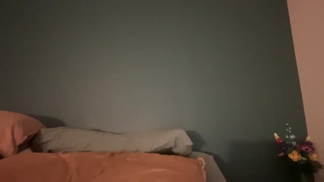 Gallery image thumbnail from imava's myfreecams stream on, 03/10/2025, 20:31 image 15 of 20