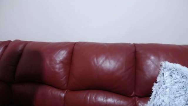 Gallery image thumbnail from kllLr's myfreecams stream on, 12/28/2024, 21:27 image 12 of 20