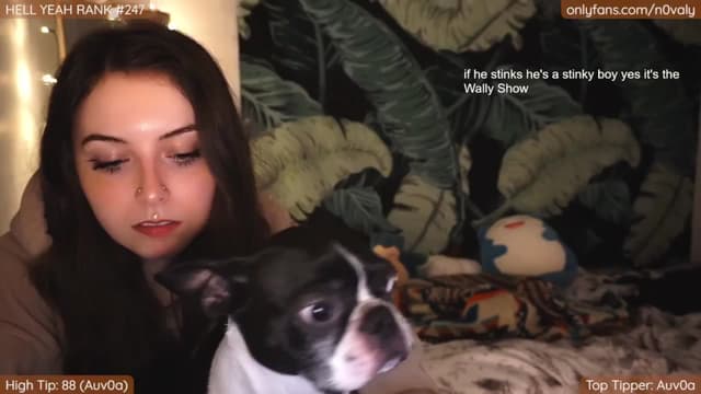 Gallery image thumbnail from n0vaa's myfreecams stream on, 01/23/2024, 01:48 image 11 of 20