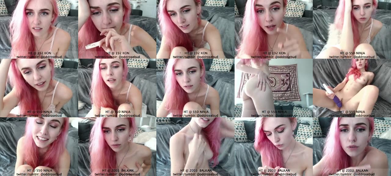 OddRosebud-MFC-201610301330_m.jpg