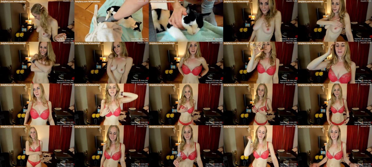 WildestKitten-MFC-202107302156_m.jpg