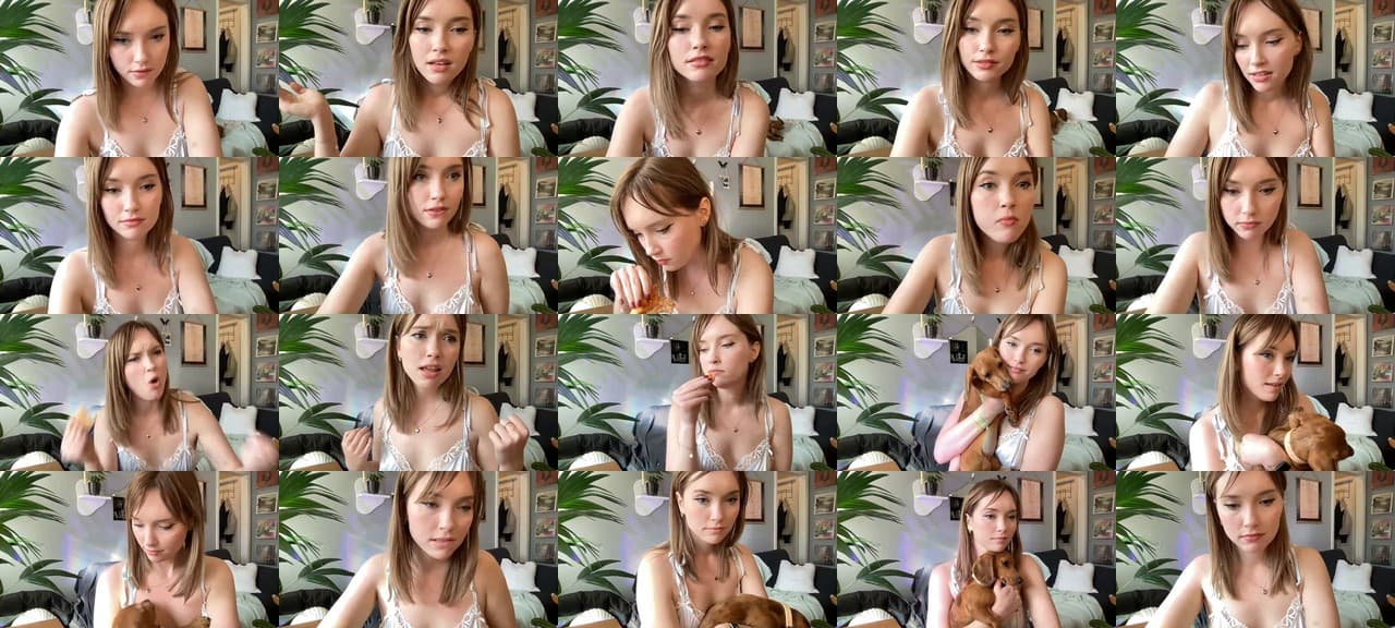 petal_-MFC-202202252044_m.jpg