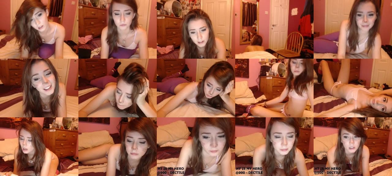Kitten_Sophie-MFC-201511032025_m.jpg