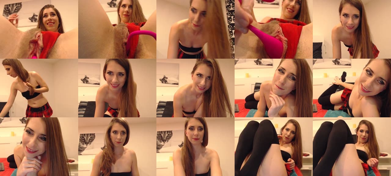 cat_on_show-MFC-201811042001_m.jpg