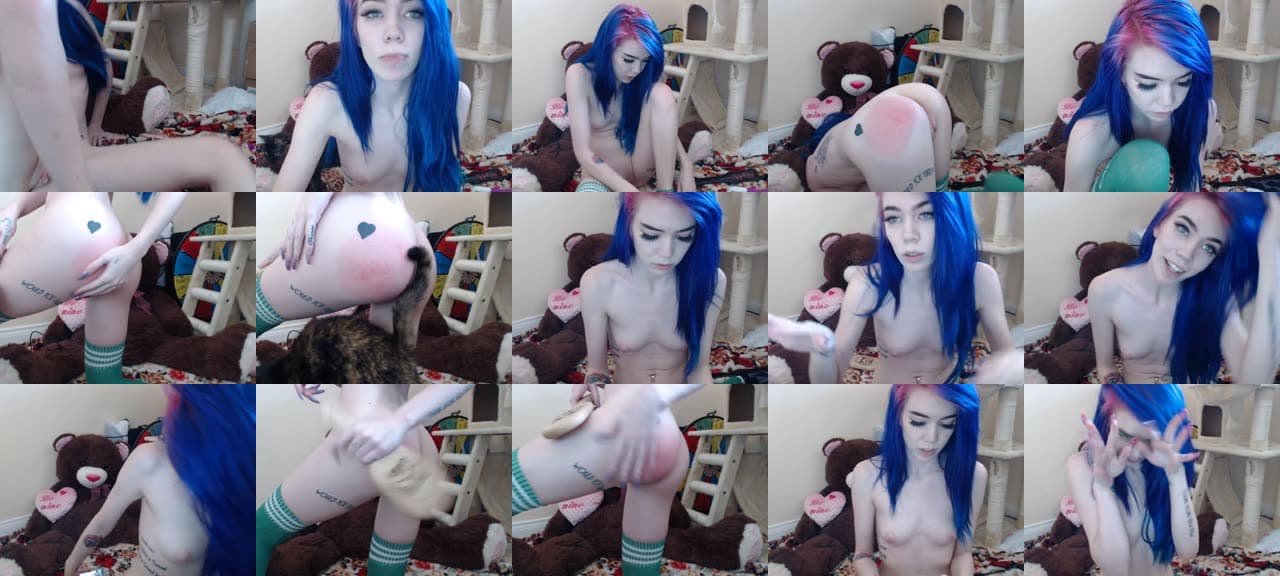 Ledabear-MFC-201707150020_m.jpg