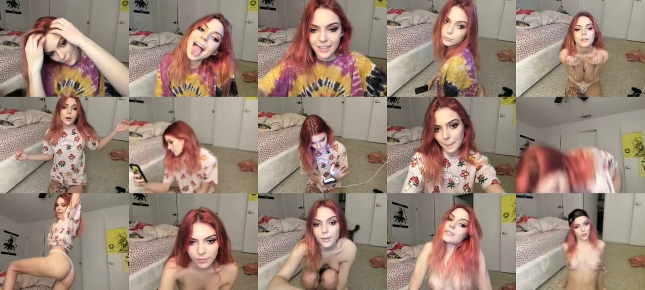 LittleViv-MFC-201811052237_m.jpg