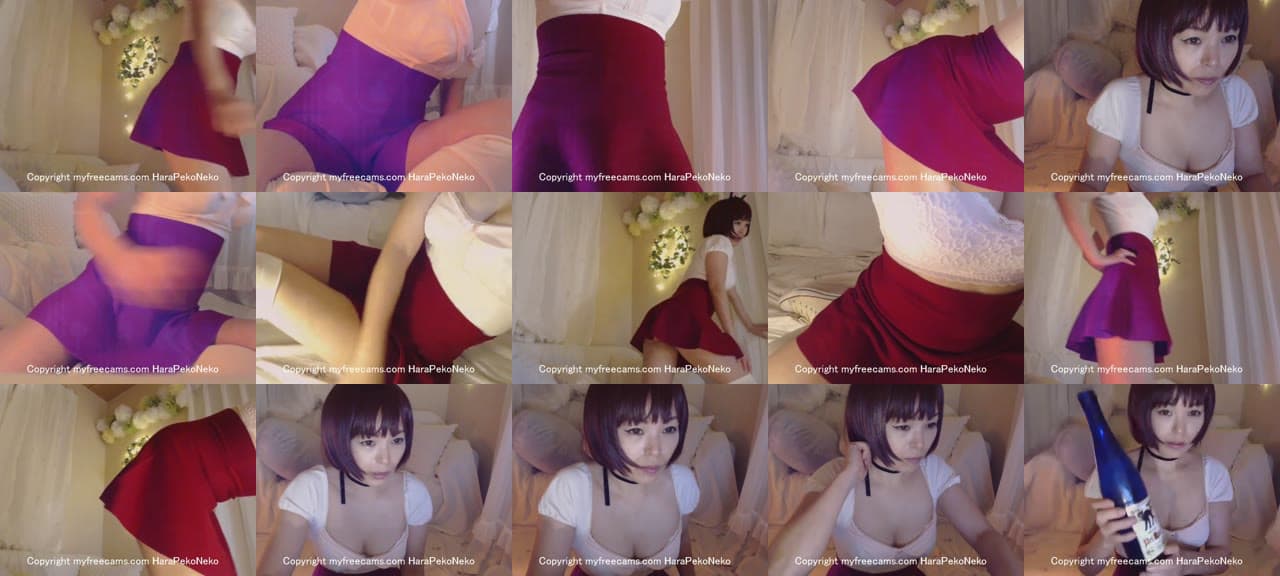 HaraPekoNeko-MFC-201612271007_m.jpg