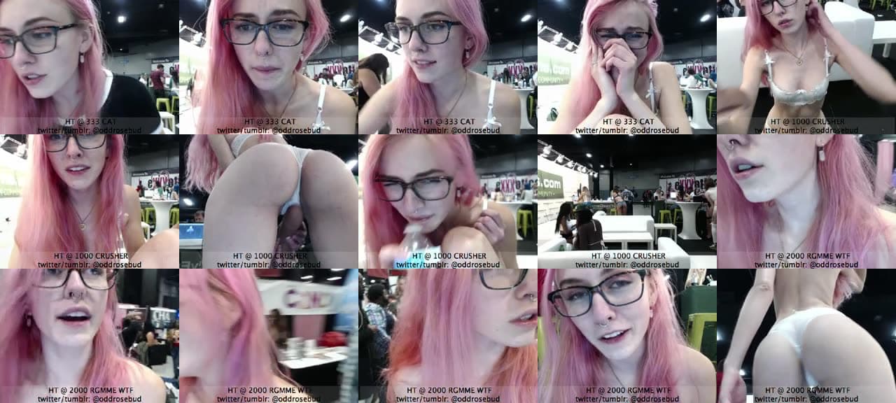 OddRosebud-MFC-201611042246_m.jpg