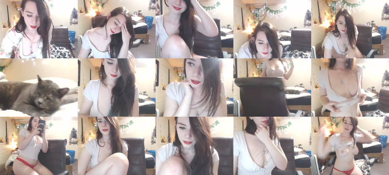 Forest_nymph-MFC-201708030357_m.jpg