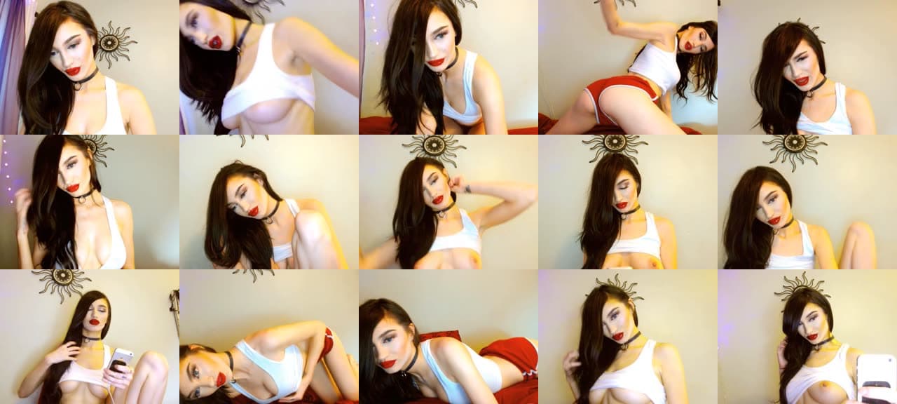 vkitten-MFC-201706050237_m.jpg
