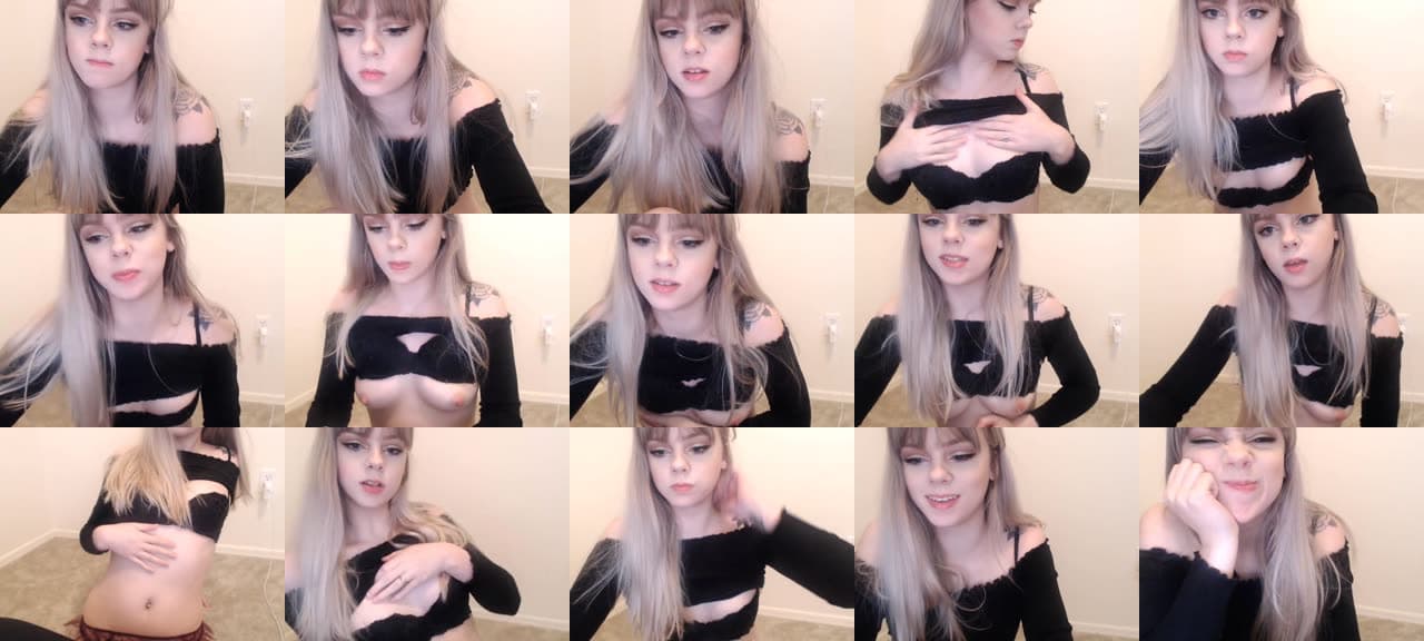 Kitten-MFC-201807272229_m.jpg
