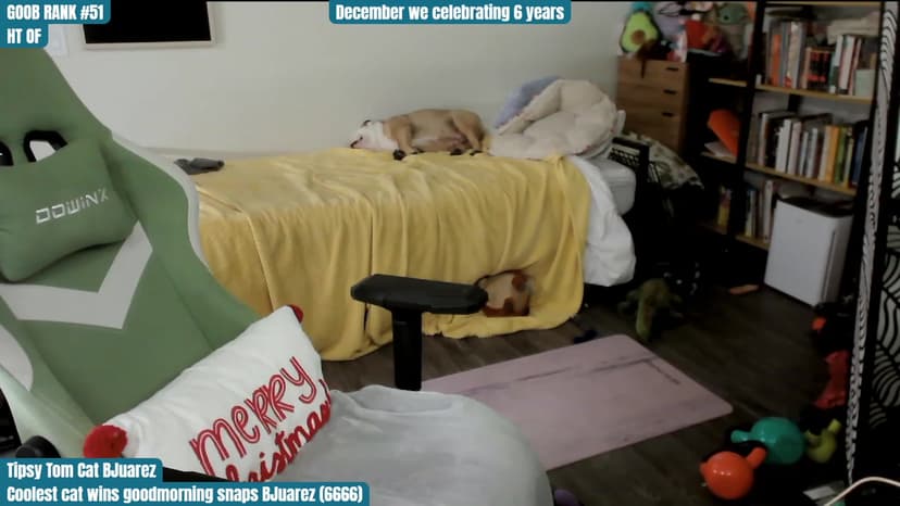 asdf