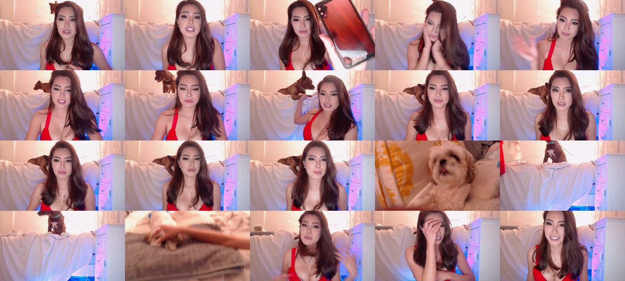 Bunni_-MFC-202003240501.mp4